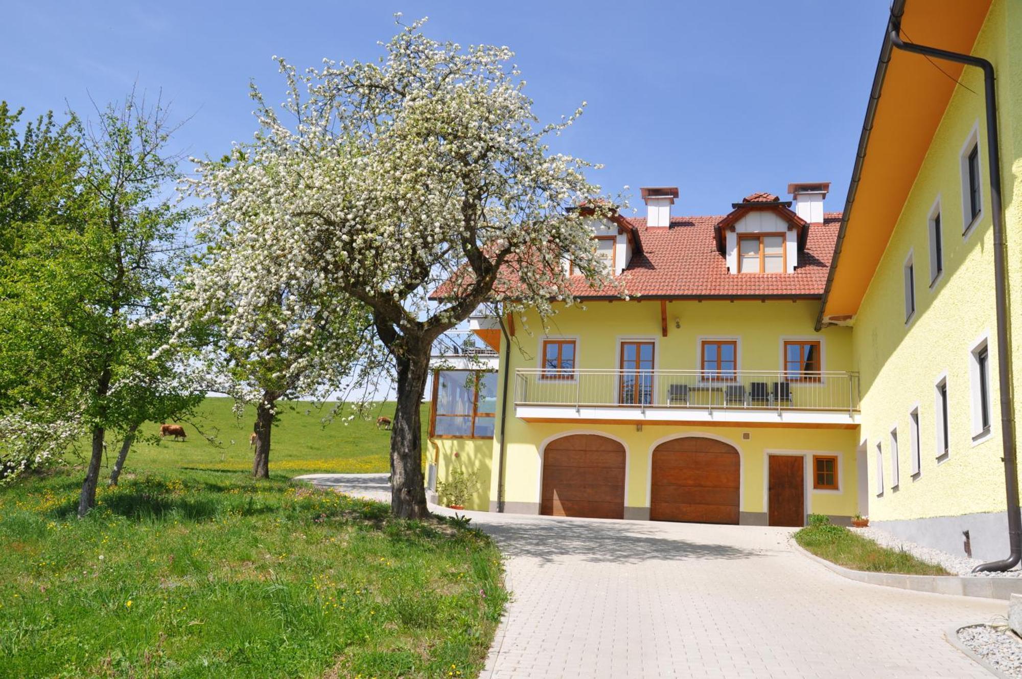 Ferienwohnung Mayrhofer Hofkirchen im Mühlkreis Buitenkant foto